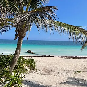 Casa Phoenix Tulum Pueblo