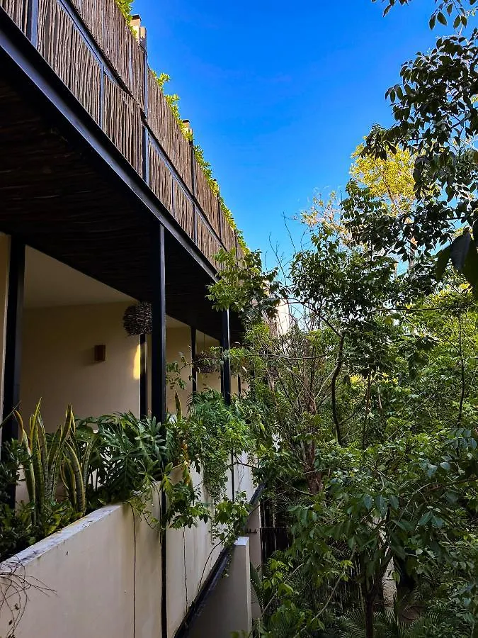 Kuukum Tulum Hotel 5*,  Meksyk